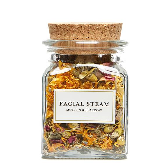 Facial steam